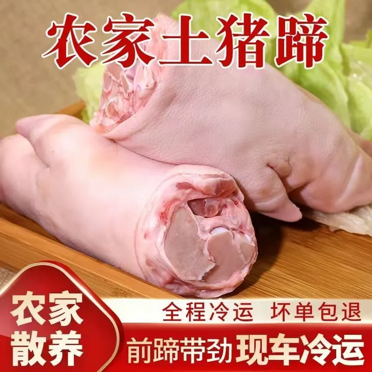 【十只猪蹄】农家散养跑山猪土猪整只猪蹄猪脚顺丰包邮 230g左右/只