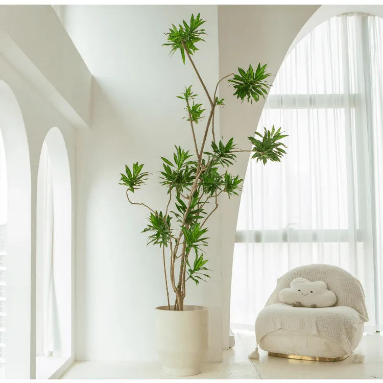 百合竹大型室内绿植北欧风客厅办公室基地造型盆栽好养超大好看