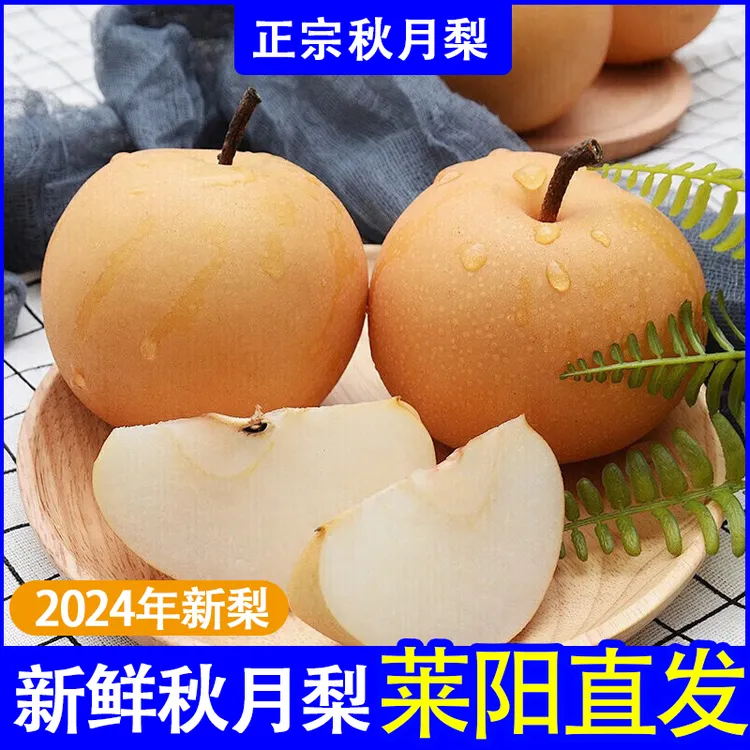 【新梨】产地直发正宗山东烟台秋月梨5斤装冰糖雪梨香酥梨脆甜多汁