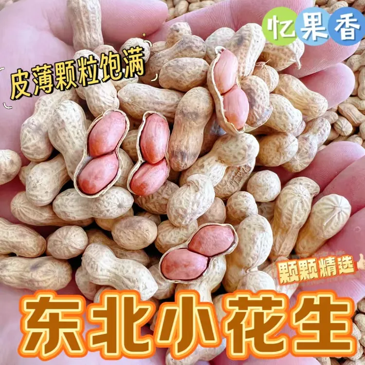 农家大铁锅柴火炒花生（东北小花生）口感酥脆解馋好吃零食