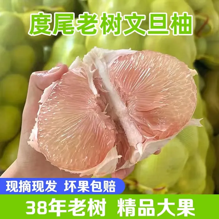 莆田仙游度尾精选老树红心文旦柚精品果水分足坏果包赔
