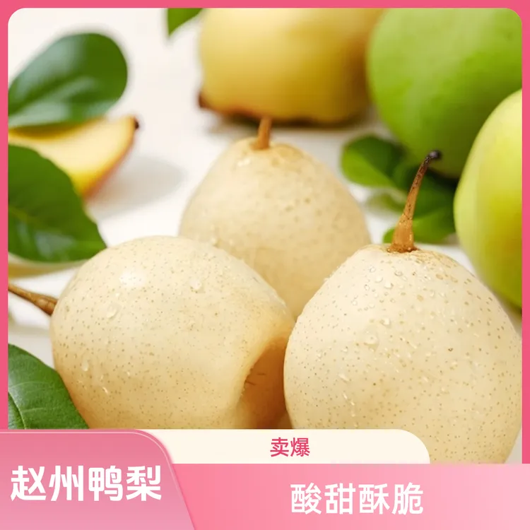 驸鲜翁河北水晶鸭梨酸甜口感皮薄酥脆果园产地直发新果带箱5斤