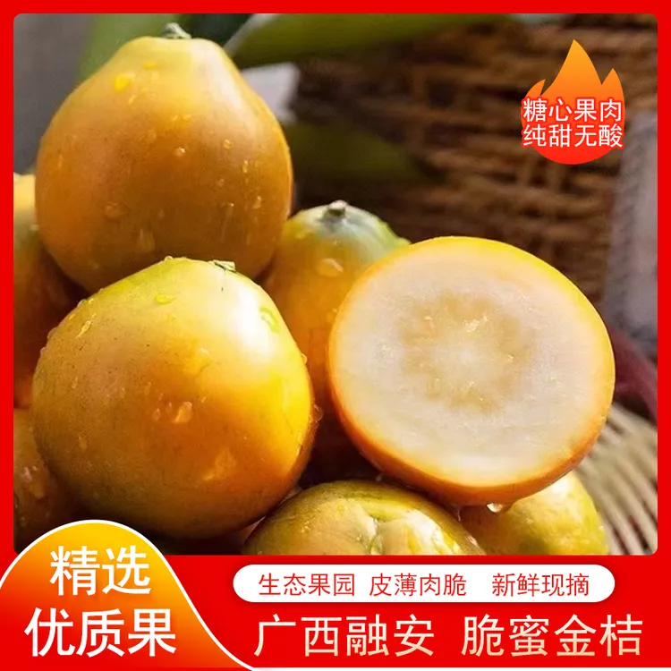 聚划算3斤中果融安脆蜜金柑广西融安第三代脆蜜金桔纯甜包邮伍