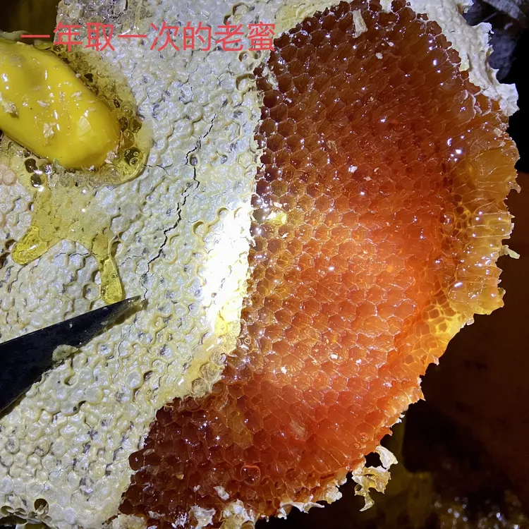 正宗原始森林土蜂蜜农村纯蜂蜜农家自产百花蜂蜜一年只取一次500g