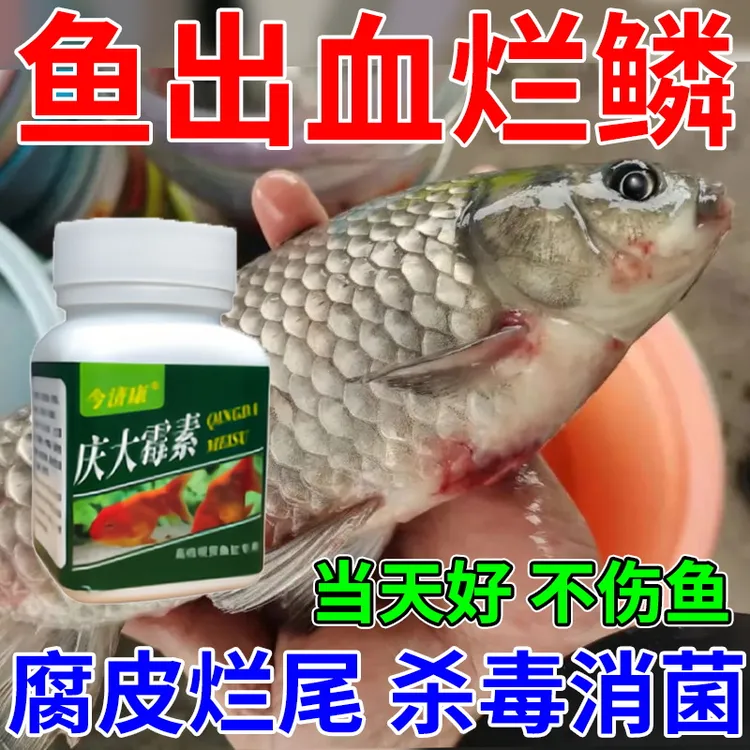 庆大霉素炸鳞立鳞烂鳃烂尾白毛白点观赏鱼淡水鱼龙鱼海水鱼可用