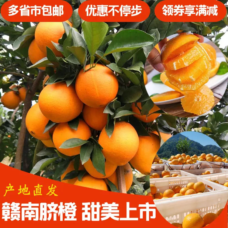 赣南脐橙标果10斤装（含箱）自然成熟水分充足新鲜口感发货及时