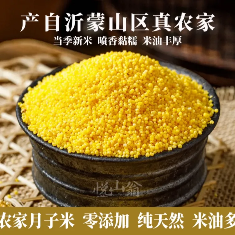 沂蒙山农家金黄小米  月子米