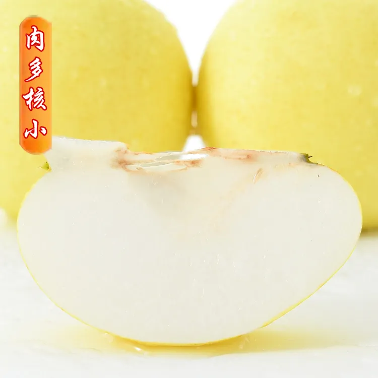 【皇冠梨脆甜多汁】河北白梨梨子皇冠梨皮薄肉厚水果酥脆爽口细腻