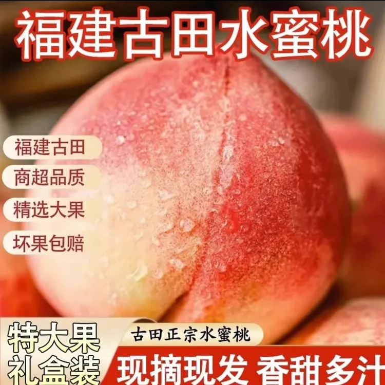 【礼盒装】福建古田正宗水蜜桃5斤