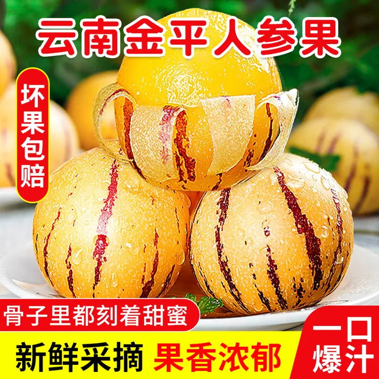 云南春季树上熟人参果爆汁清香 3/4斤装新鲜水果皮薄多汁坏果包赔