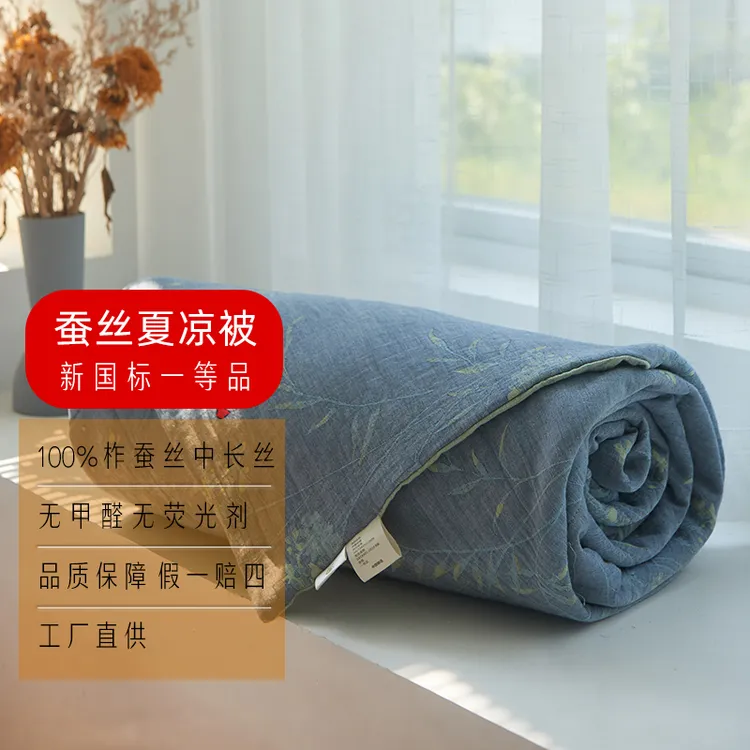 双层纱蚕丝夏凉被加厚宿舍单人午睡毯空调被绒被蚕丝被