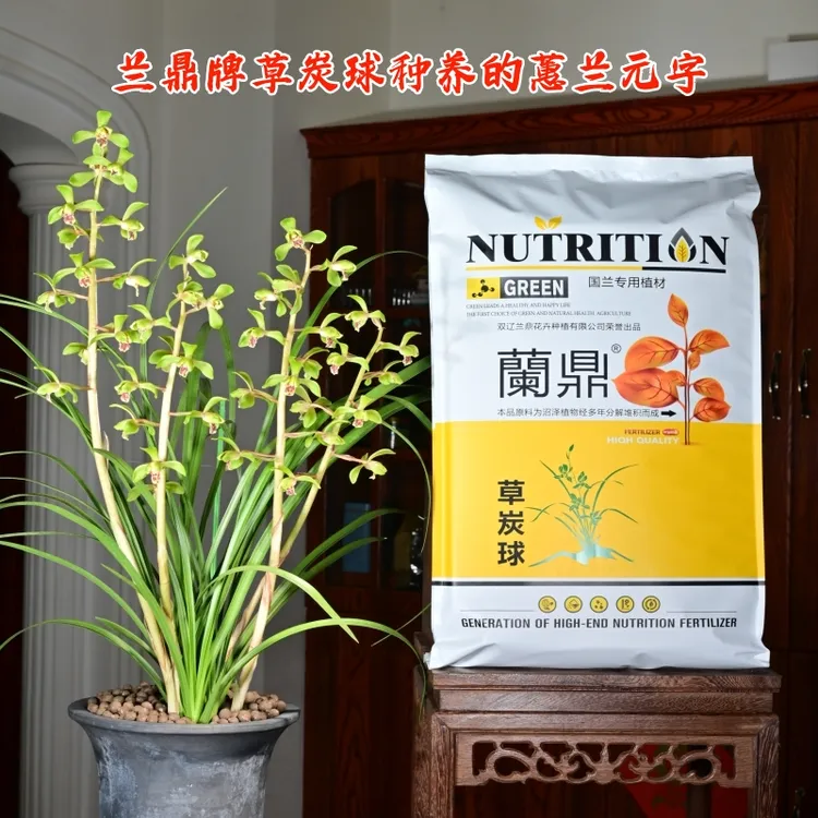 兰鼎牌草炭球兰花专用土植料沥水透气有营养发根促花新苗壮不粉化