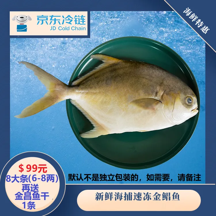 新鲜海捕活冻金鲳鱼京东冷链发货营养深海肉质净含量2400g-2700g