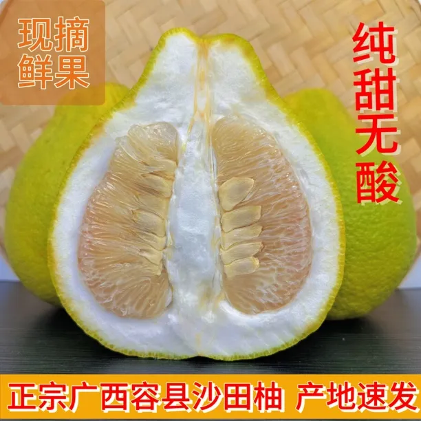 广西正宗容县沙田柚纯甜不酸新鲜香甜产地多汁（礼盒装）