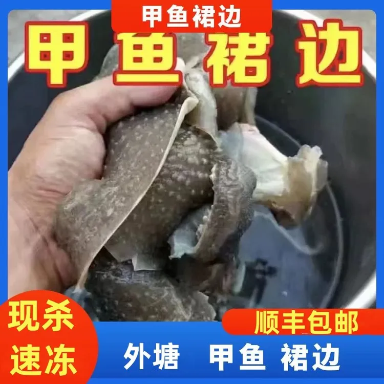 【甲鱼裙边】江西南丰外塘野养甲鱼甲鱼裙边400g/1-2包装顺丰