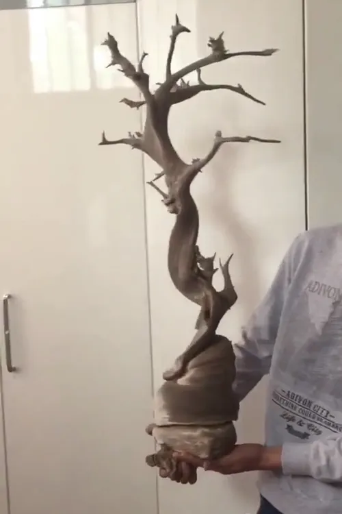 收藏品专拍太行崖柏陈化料瘤疤播播