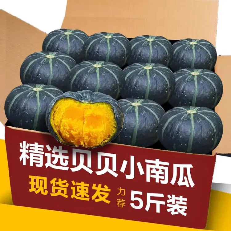 正宗【贝贝南瓜】板栗味小南瓜粉糯香甜孕宝辅食新鲜蔬菜包邮5斤