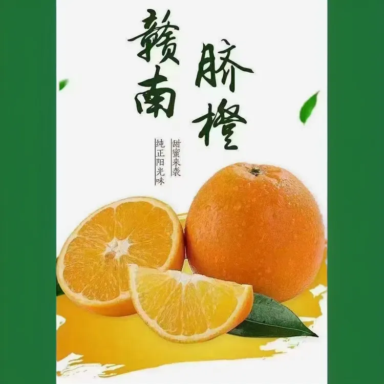 赣南脐橙新鲜水果产地直发香甜多汁江西橙子