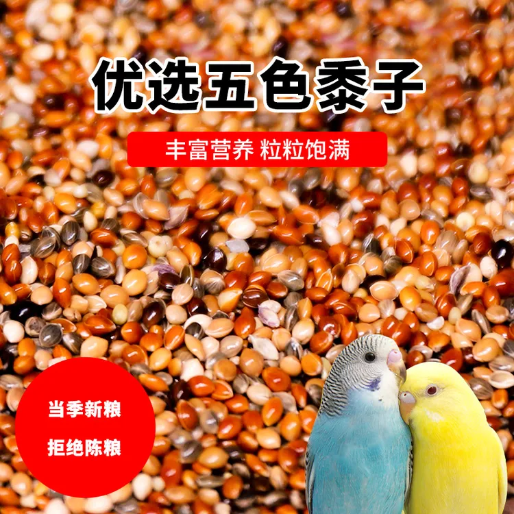鸟粮虎皮牡丹玄凤中小型鹦鹉鸟食饲料五色黍子鹦鹉混合粮谷子粮食