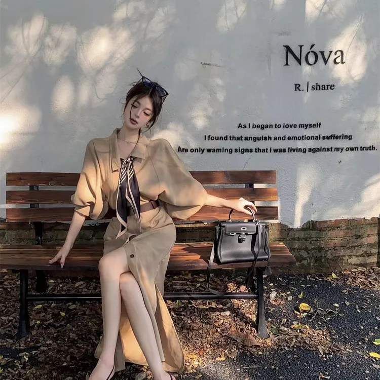 高级感立领风衣连衣裙女法式宽松长款收腰外套