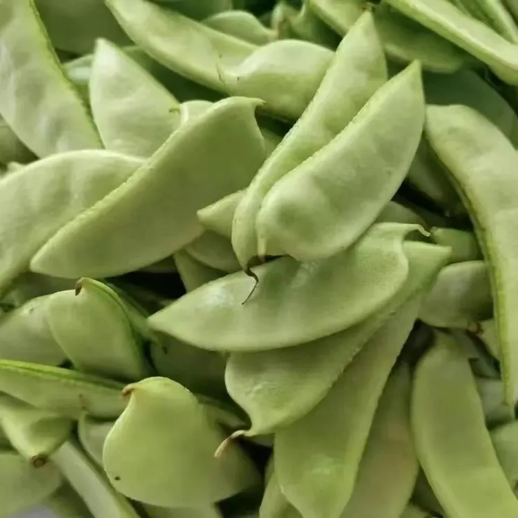 新鲜峨眉豆湖北特产农家露天自种老品种鹅米豆扁豆现摘应季蔬菜