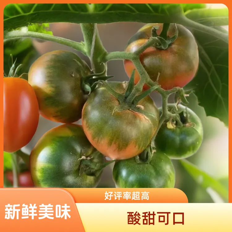 自然熟紫春桃西红柿绿腚番茄孕妇生吃水果柿