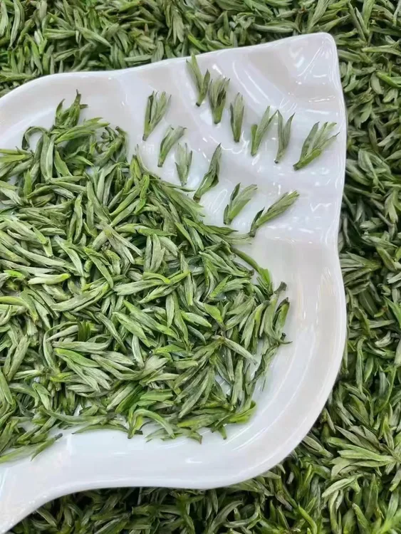 B500小芽白茶【嫩绿 鲜香】正品
