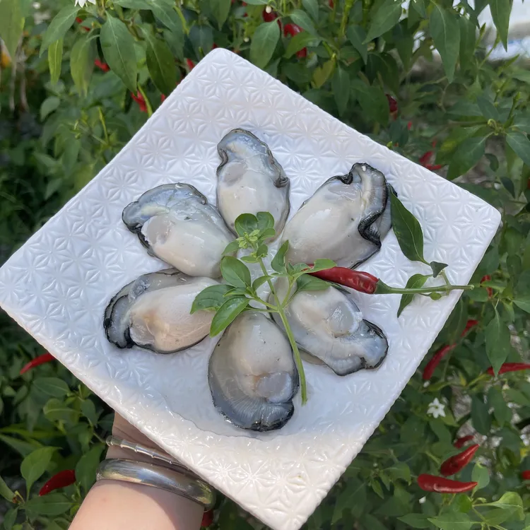 汫洲生蚝肉纯肉无沙3斤广东外顺丰包邮牡蛎生蚝当天现剥当天发货