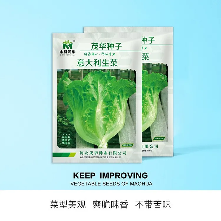 中科茂华蔬菜种子意大利生菜种子耐热半结球生菜種子简单易种成活