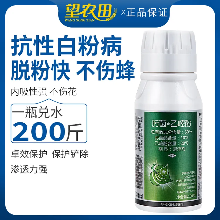 肟菌乙嘧酚白粉病专用药大棚草莓番茄豆角黄瓜蔬菜果树农药杀菌剂