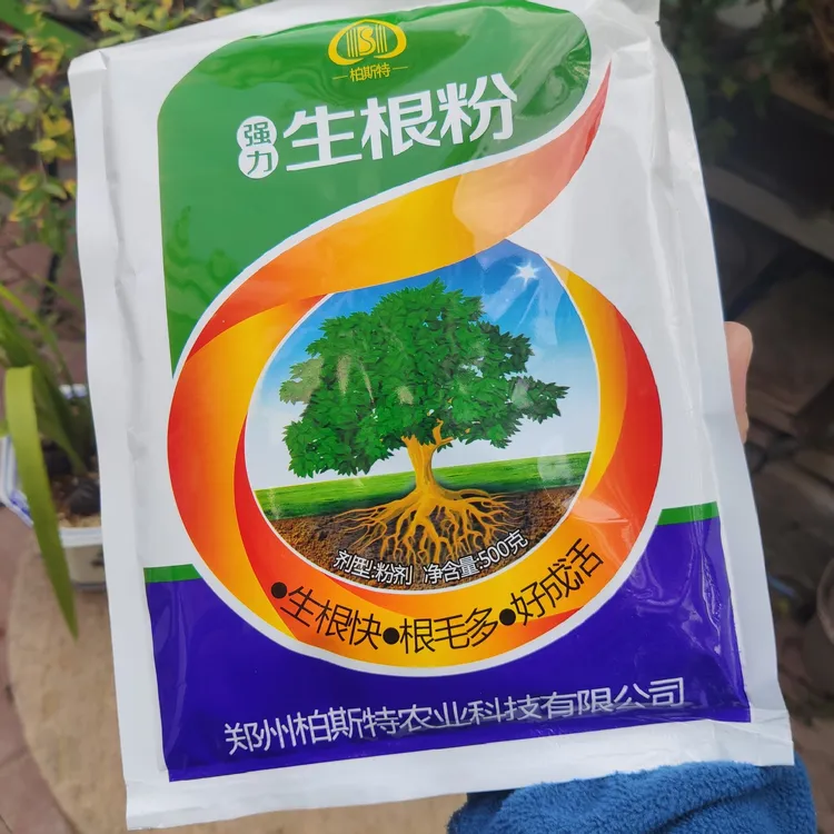 强力爆发式生根粉一袋500克，盆景树桩养护，生桩移植，养护生根养护