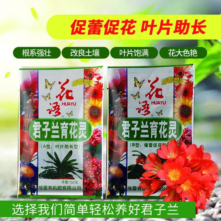 君子兰育花灵促花助长壮苗促根补充氮磷钾家庭优选增强优质有机物