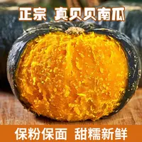 山东潍坊正宗贝贝南瓜粉糯香甜板栗味现摘现发迷你小南瓜4.5斤