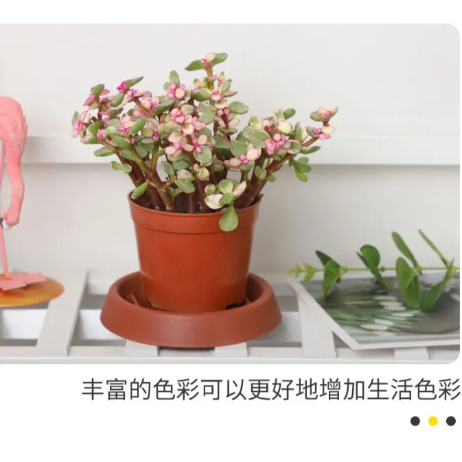 中古沥水托盘加厚树脂材质透气防积水防烂根底托多肉花盆底座垫底