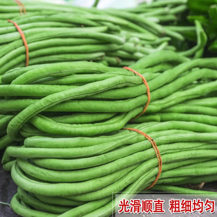 豇豆种子大全豆角种籽特长春季菜籽种四季阳台盆栽绿富宝蔬菜种孑
