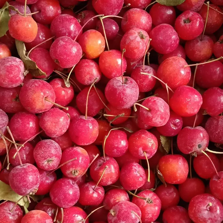 东北花红果，一箱五斤，酸甜可口老少皆宜，东北特产