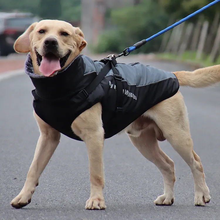 大狗狗衣服秋冬棉衣金毛萨摩耶拉布拉多中大型犬宠物狗蓝色冲锋衣