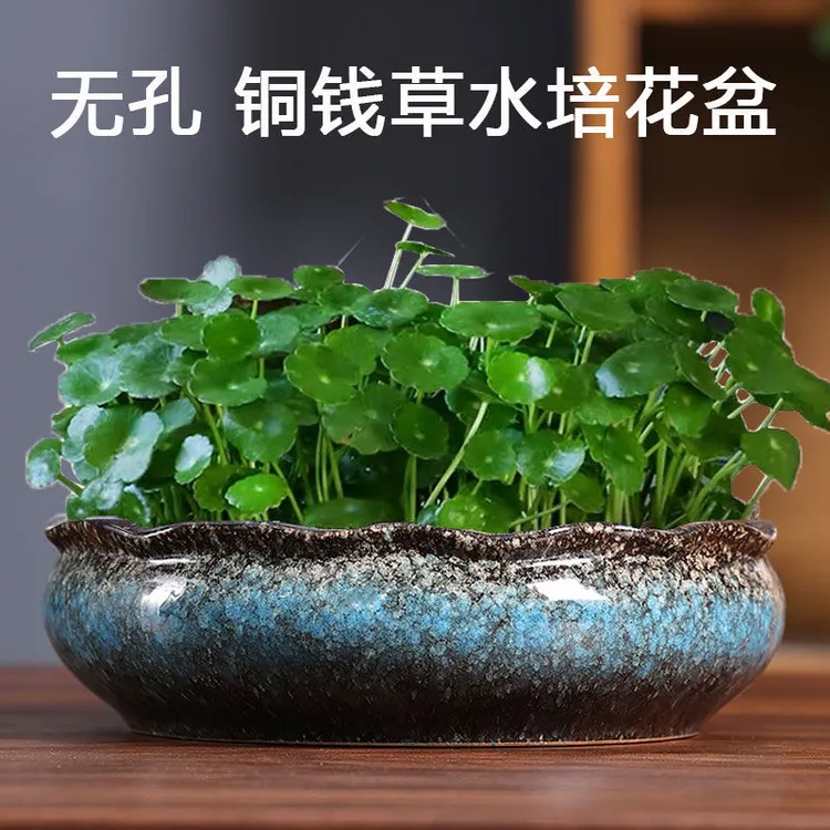 水培花盆水仙碗莲金钱水养多肉大小号无孔陶瓷钱草专用盆清仓捡漏