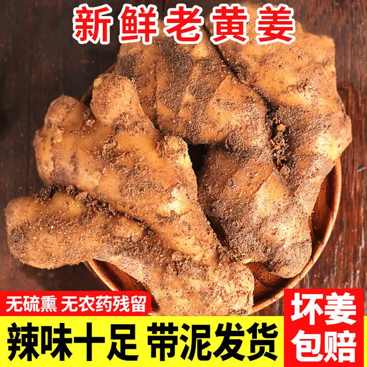 生姜批发老姜山东大黄姜泥姜现挖现发新鲜蔬菜安丘发货净重5斤