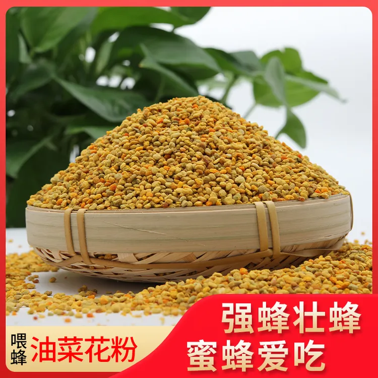 油菜杂花粉颗粒花粉末2025新养蜂喂蜂蜂用花粉蜂粮蜜蜂饲料