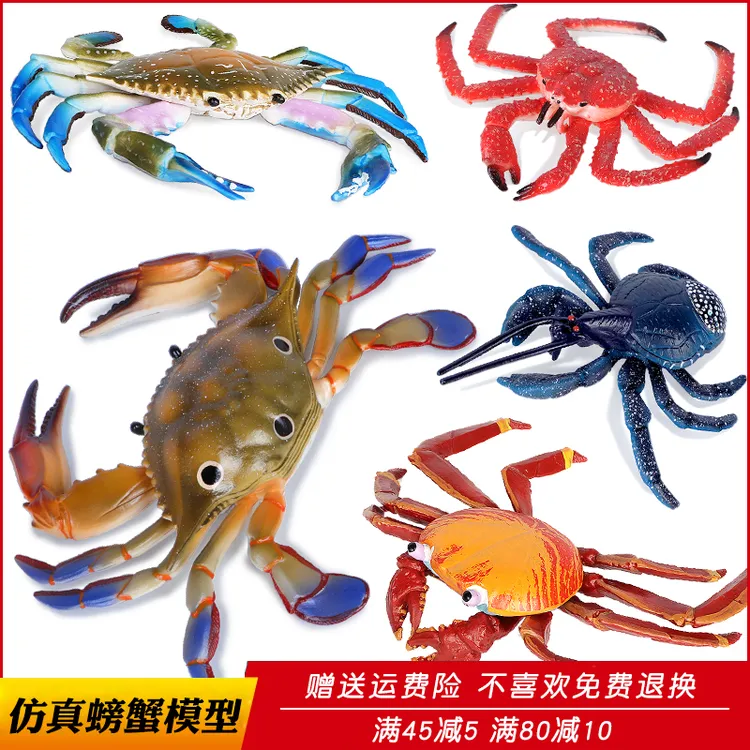 仿真海洋动物梭子蟹螃蟹模型玩具帝王蟹椰子蟹大号儿童认知礼物