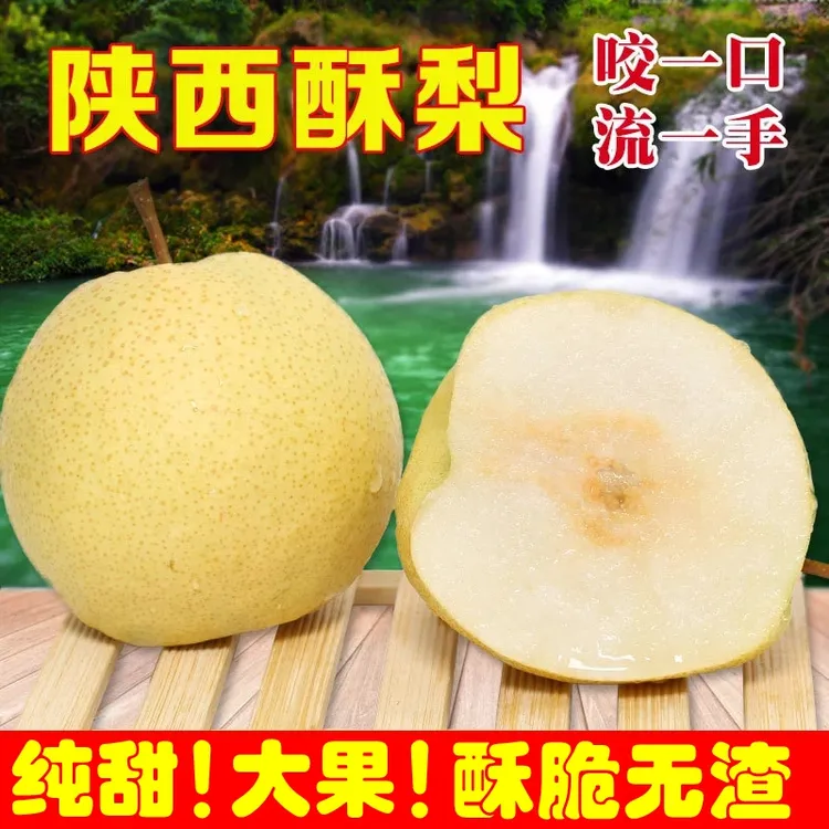 紫玉环陕西山地酥梨酥脆多汁爽口皮薄肉厚当季新鲜水果5-9斤整箱