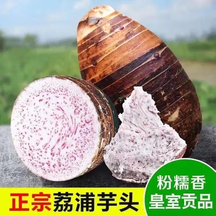 桂凤农场【顺丰】2广西荔浦芋头香软粉面新鲜香芋紫藤芋农场直发