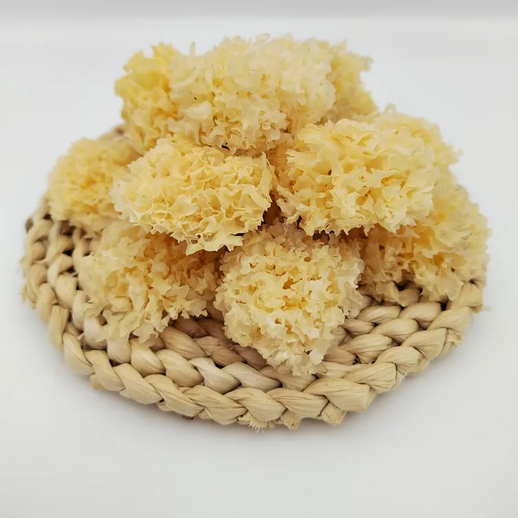 椴木小银耳干货糯糯的白木耳一煮即糯250克