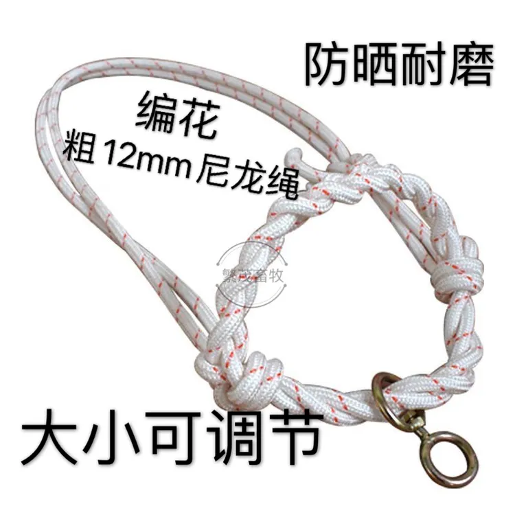 纯手工编花牛笼头套头结实牵牛绳牛龙套育肥牛养殖笼头养殖场用