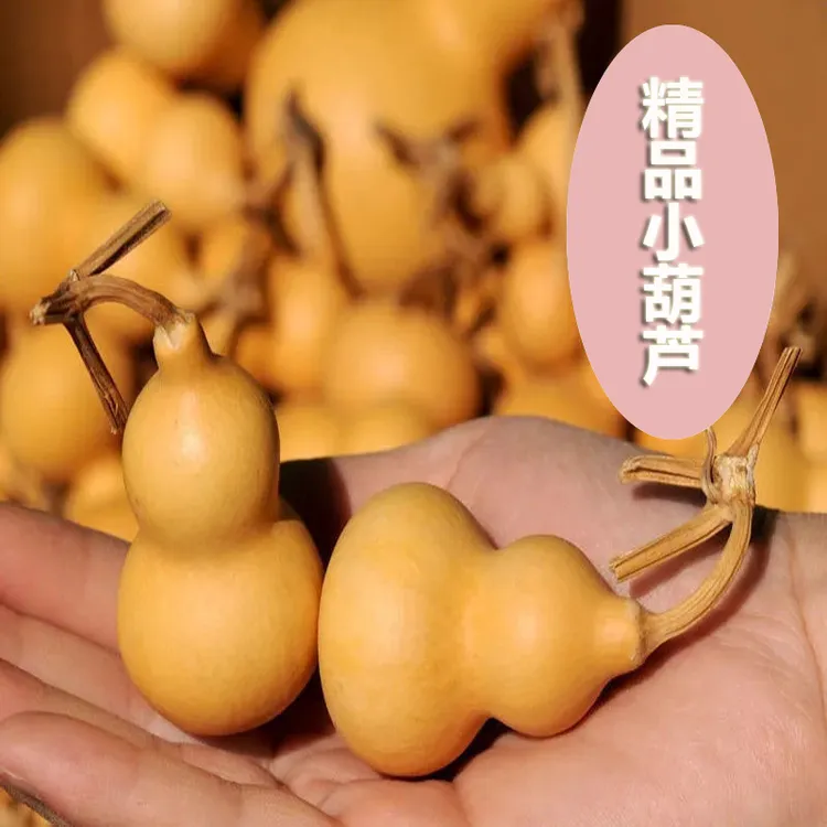 精品天然小葫芦手捻小葫芦龙头草里金手工小葫芦手把件摆件挂件