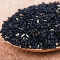 熟黑芝麻 农家自产饱满新鲜烘焙正宗颗粒营养农家精选产地