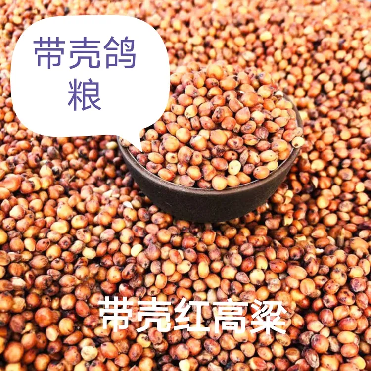 鸽子粮带壳红高粱鼠粮红高粱喂鸽子鸟食鸽粮鸽子饲料鸽子粮食鸟粮