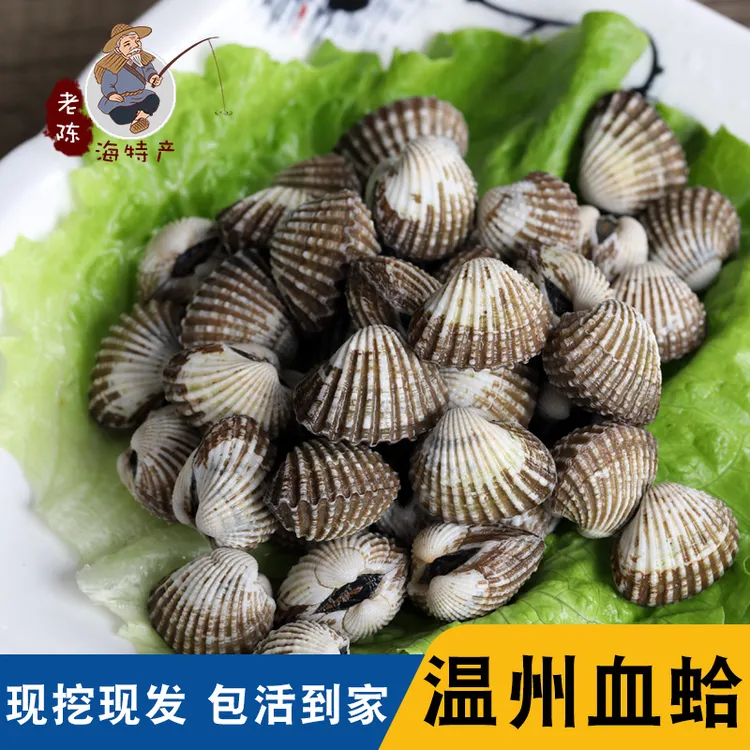 温州特产正宗乐清血蛤贝类水产海鲜血蚶鲜活花蛤袋装温州司蛤