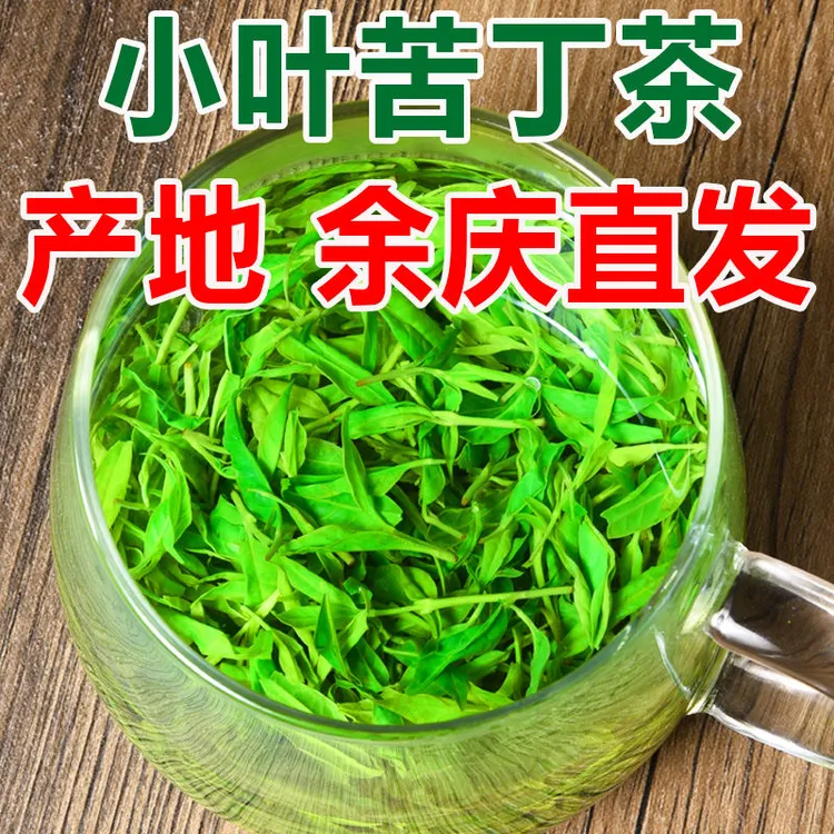 【茶园直发】贵州余庆2025新茶叶青山绿水野生小叶苦丁茶嫩芽散装